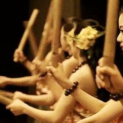 Hula Girls Japanese Movie photo