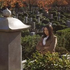 The Pavillion Salamandre Japanese Movie photo