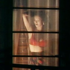 Web of Deception Hong Kong Movie(1997) photo