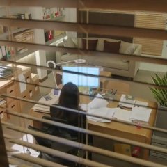 Oh My Venus Korean Drama photo