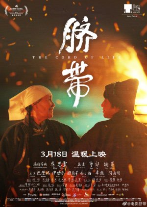 Qi Dai (2022) poster