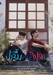 Thai ❤️BOYS LOVE