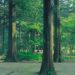 A Time Called You (2023) photo