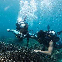 Blood of the Blue Taiwanese Movie photo