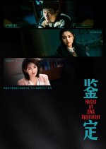 Notes of DNA Appraiser Chinese Drama photo