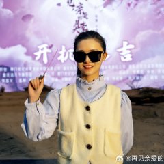 Zai Jian, Qin Ai De Yue Lao Da Ren Chinese Drama photo