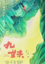 Twin Sister Chinese Movie photo