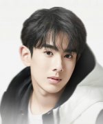 Zhang Jun Jie