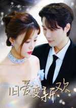 Old Love to New Love Chinese Drama photo