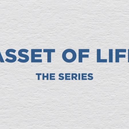 Asset of Life (2024)