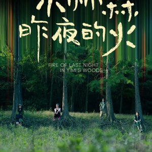 Fire of Last Night in Yimi’s Woods (2024)