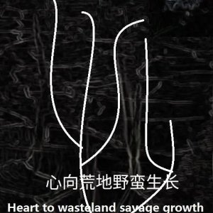 Heart to Wasteland Savage Growth (2024)