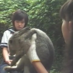 Gakkou no Kaidan G Japanese Movie photo