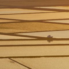 Chihayafuru Part 2 Japanese Movie photo