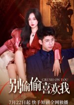 Crush on You Chinese Drama(2023) photo