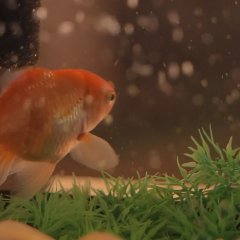 The Loner Taiwanese Movie(2021) photo