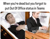 Feed post
