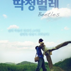 Beetles (2009)