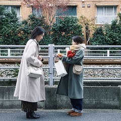 All the Long Nights (2024) photo