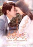Loving, Never Forgetting chinese drama review