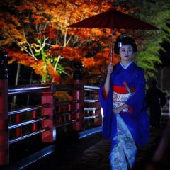 Geisha vs Ninjas Japanese Movie photo