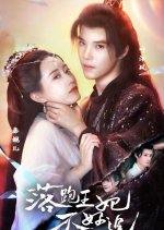 Luo Pao Wang Fei Bu Hao Zhui Chinese Drama photo