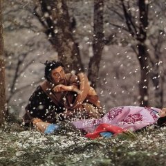 Under the Blossoming Cherry Trees Japanese Movie photo