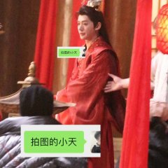 Love of the Divine Tree (2024) photo