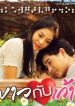 White Cane and Wheelchair Thai Drama photo