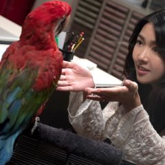 A Witness Out of the Blue Hong Kong Movie photo