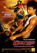 Born to Fight Thai Movie(2004) photo