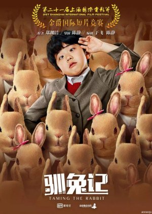 Taming the Rabbit (2018) poster