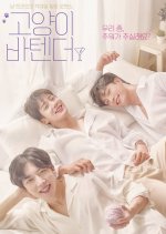 Cat's Bar Korean Drama photo