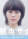 Doki no Sakura japanese drama review