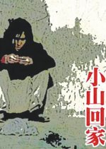 Xiaoshan Going Home Chinese Movie photo