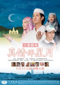 Zhen Qing Ban Xing Yue (2009) poster