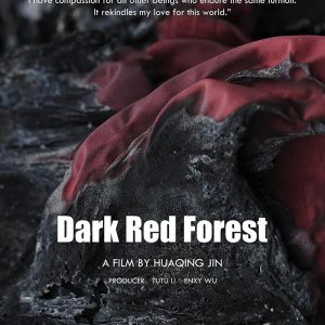 Dark Red Forest (2021)