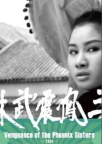 Vengeance of the Phoenix Sisters Taiwanese Movie photo