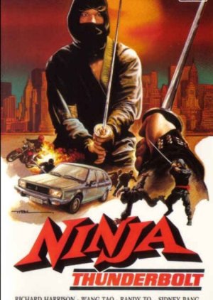 Ninja Thunderbolt (1984) poster