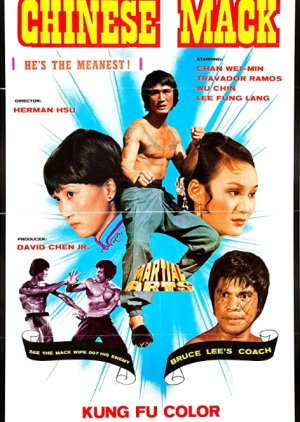 The Chinese Mack (1974) poster