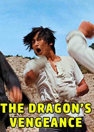 The Dragon's Vengeance (1972) poster