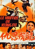 The Brothers Hong Kong Movie(1973) photo