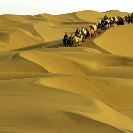 Camel Caravan (2012)