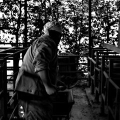 Cry Japanese Movie photo