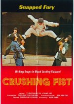 The Great Chinese Boxer Taiwanese Movie photo