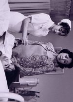 Kangofu Tantei Toda Ayuko: Dairi Haha Satsujin Jiken Japanese Drama photo