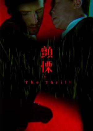 The Thrill (2014) poster