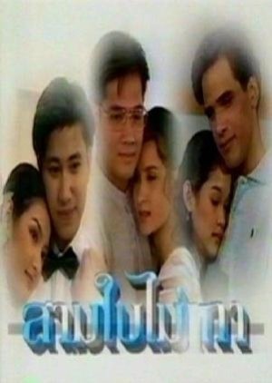 Sam Bai Mai Thao (1995) poster