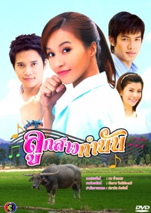 Look Sao Kam Nan (2009) poster
