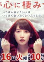 You Always Haunt My Heart Japanese Drama photo